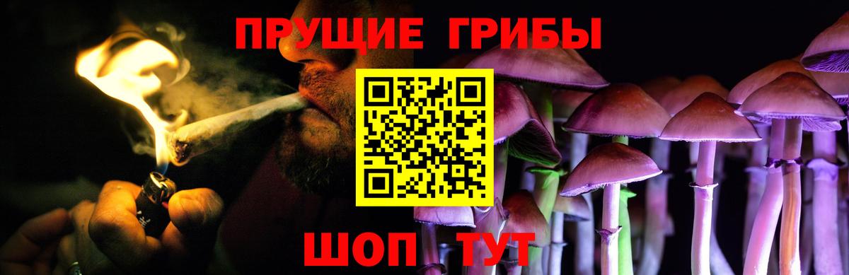 Галлюциногенные грибы Magic Shrooms Егорьевск